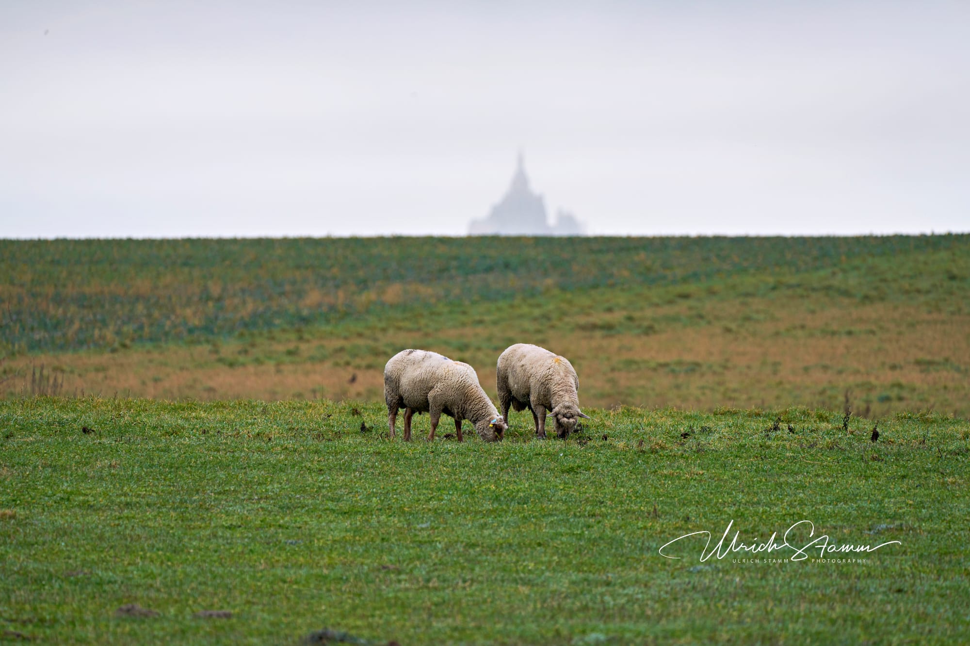 H Le Mont Saint Michel US 2023 02 17 156