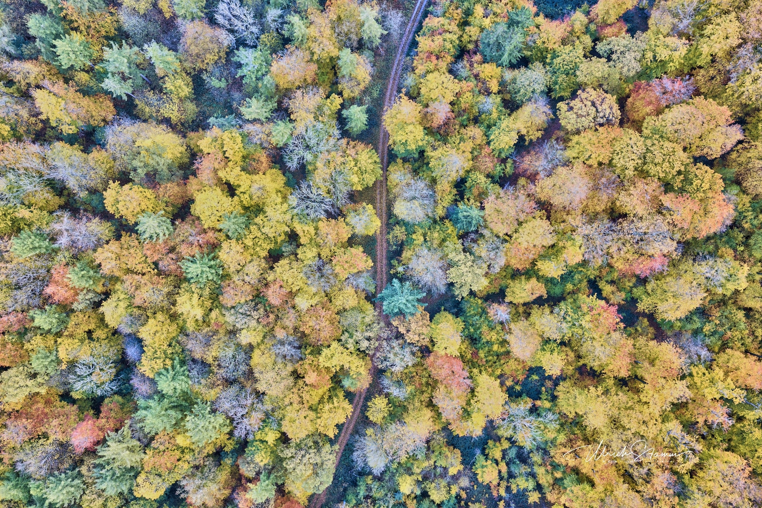 Herbstwald Ottensteiner Hochebene Us 2025 10 30 18 19 20 21 22 – © Ulrich Stamm, Hannover